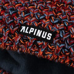 Женская зимняя шапка Alpinus Sompion ST18338, бордовая цена и информация | Женские шапки | kaup24.ee