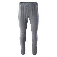 Спортивные брюки для мужчин IQ Surio M 92800398484, серые цена и информация | Мужская спортивная одежда | kaup24.ee