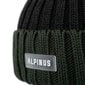 Alpinus Matind talvemüts TT18275, hallikasroheline цена и информация | Meeste sallid, mütsid ja kindad | kaup24.ee