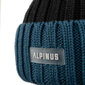 Alpinus Matind talvemüts TT18273, hallikassinine hind ja info | Meeste sallid, mütsid ja kindad | kaup24.ee