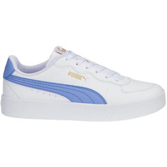 Puma Skye Clean naiste kingad 380147 13, valge-sinine hind ja info | Naiste spordi- ja vabaajajalatsid | kaup24.ee