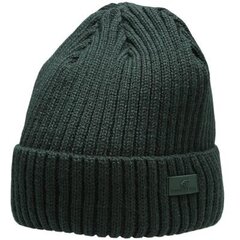 Müts 4F M H4Z22 CAM009 43S, roheline цена и информация | Мужские шарфы, шапки, перчатки | kaup24.ee
