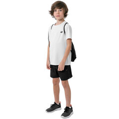 Комплект спортивной одежды для мальчиков 4F HJZ22 JSETRM001 90S многоцветный цена и информация | Комплекты для мальчиков | kaup24.ee