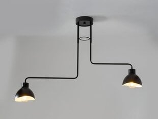 Потолочный светильник HOLI 32447 цена и информация | Потолочные светильники | kaup24.ee
