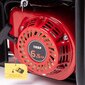 Kvaliteetne vaikne elektrigeneraator 230/12v цена и информация | Generaatorid | kaup24.ee