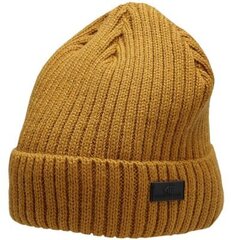 Müts 4F M H4Z22 CAM009 71S, sinepivärvi цена и информация | Мужские шарфы, шапки, перчатки | kaup24.ee
