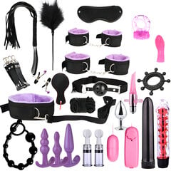 BDSM seksmänguasjade komplekt 25 tk. hind ja info | BDSM ja fetish | kaup24.ee