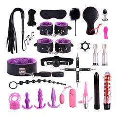 BDSM seksmänguasjade komplekt 25 tk. hind ja info | BDSM ja fetish | kaup24.ee