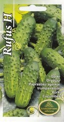 Kurk Rufus F1 цена и информация | Семена овощей, ягод | kaup24.ee
