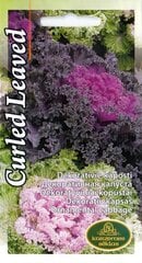 Декоративная капуста Curled Leaved цена и информация | Семена цветов | kaup24.ee