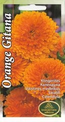 Календула Orange Gitana цена и информация | Зайцехвост яйцевидный | kaup24.ee