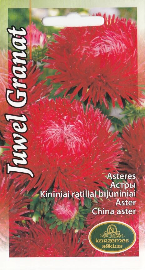 Aster Juwel Granat цена и информация | Lilleseemned | kaup24.ee