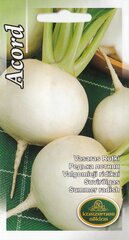 Redis Acord цена и информация | Семена овощей, ягод | kaup24.ee