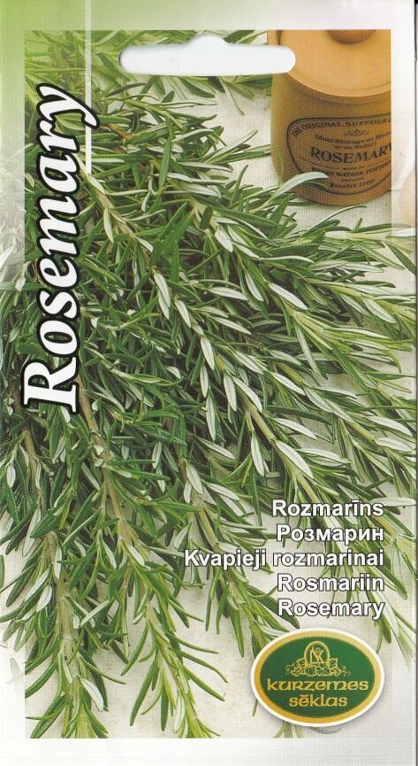 Rosmariin hind ja info | Maitsetaimede seemned | kaup24.ee