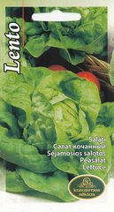 Салат Ленто цена и информация | Семена овощей, ягод | kaup24.ee