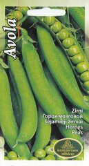 Hernes Avola цена и информация | Семена овощей, ягод | kaup24.ee