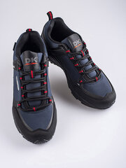 Мужские трекинговые ботинки DK темно-синие цена и информация | Кроссовки для мужчин | kaup24.ee