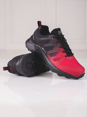 Красные мужские треккинговые ботинки DK Softshell цена и информация | Кроссовки для мужчин | kaup24.ee