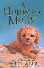 Home for Molly hind ja info | Noortekirjandus | kaup24.ee