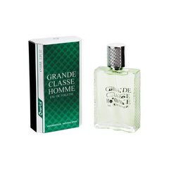 Meeste EDT Omerta Grande Classe Homme 100 ml hind ja info | Meeste parfüümid | kaup24.ee