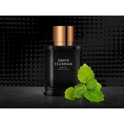 Meeste EDT David Beckham Bold Instinct 30 ml цена и информация | Meeste parfüümid | kaup24.ee