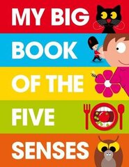 My Big Book of the Five Senses цена и информация | Книги для малышей | kaup24.ee