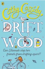 Driftwood цена и информация | Книги для подростков и молодежи | kaup24.ee