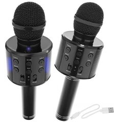 Караоке микрофон, беспроводной c Bluetooth и эффектами изменения голоса, черный цена и информация | Развивающие игрушки | kaup24.ee