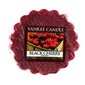 Yankee Candle lõhnavaha Black Cherry, 22 g цена и информация | Küünlad, küünlajalad | kaup24.ee