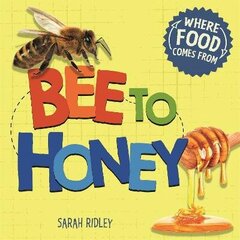 Where Food Comes From: Bee to Honey hind ja info | Noortekirjandus | kaup24.ee