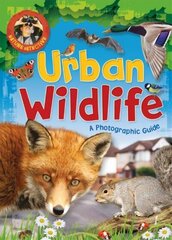 Nature Detective: Urban Wildlife hind ja info | Noortekirjandus | kaup24.ee