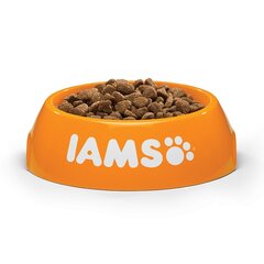 Сухой корм для кошек с курицей Iams Взрослый, 10 кг цена и информация | Сухой корм для кошек | kaup24.ee