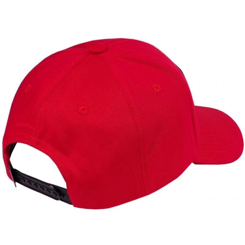 Meeste müts Ozoshi O21CP002 OZ63897, punane hind ja info | Meeste sallid, mütsid ja kindad | kaup24.ee