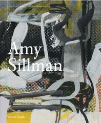 Amy Sillman Revised edition hind ja info | Kunstiraamatud | kaup24.ee