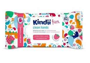 Niisked salvrätikud Kindii Fun Antibacterial Wipes, 60 tk цена и информация | Влажные салфетки | kaup24.ee