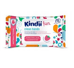 Niisked salvrätikud Kindii Fun Antibacterial Wipes, 15 tk цена и информация | Влажные салфетки | kaup24.ee