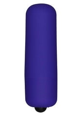 Мини-вибратор - пуля Funky, фиолетовый цвет цена и информация | Вибраторы | kaup24.ee