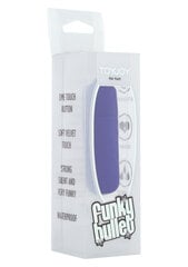 Мини-вибратор - пуля Funky, фиолетовый цвет цена и информация | Вибраторы | kaup24.ee
