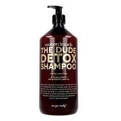 Глубоко очищающий шампунь для волос Waterclouds The Dude Detox Shampoo, 250 мл цена и информация | Шампуни | kaup24.ee