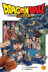 Dragon Ball Super, Vol. 13 цена и информация | Фантастика, фэнтези | kaup24.ee