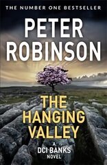 Hanging Valley цена и информация | Фантастика, фэнтези | kaup24.ee