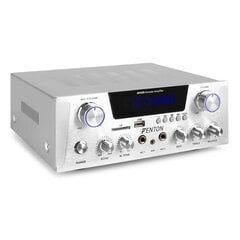Усилитель звука для караоке Fenton AV430A 2x 300 Вт цена и информация | Домашняя акустика и системы «Саундбар» («Soundbar“) | kaup24.ee
