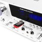 Fenton AV430A karaoke helivõimendi 2 x 300W цена и информация | Koduaudio ja "Soundbar" süsteemid | kaup24.ee