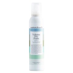 Volüümi andev vaht ja kuivšampoon Waterclouds Volume Dry Foam 2In1, 250ml цена и информация | Шампуни | kaup24.ee