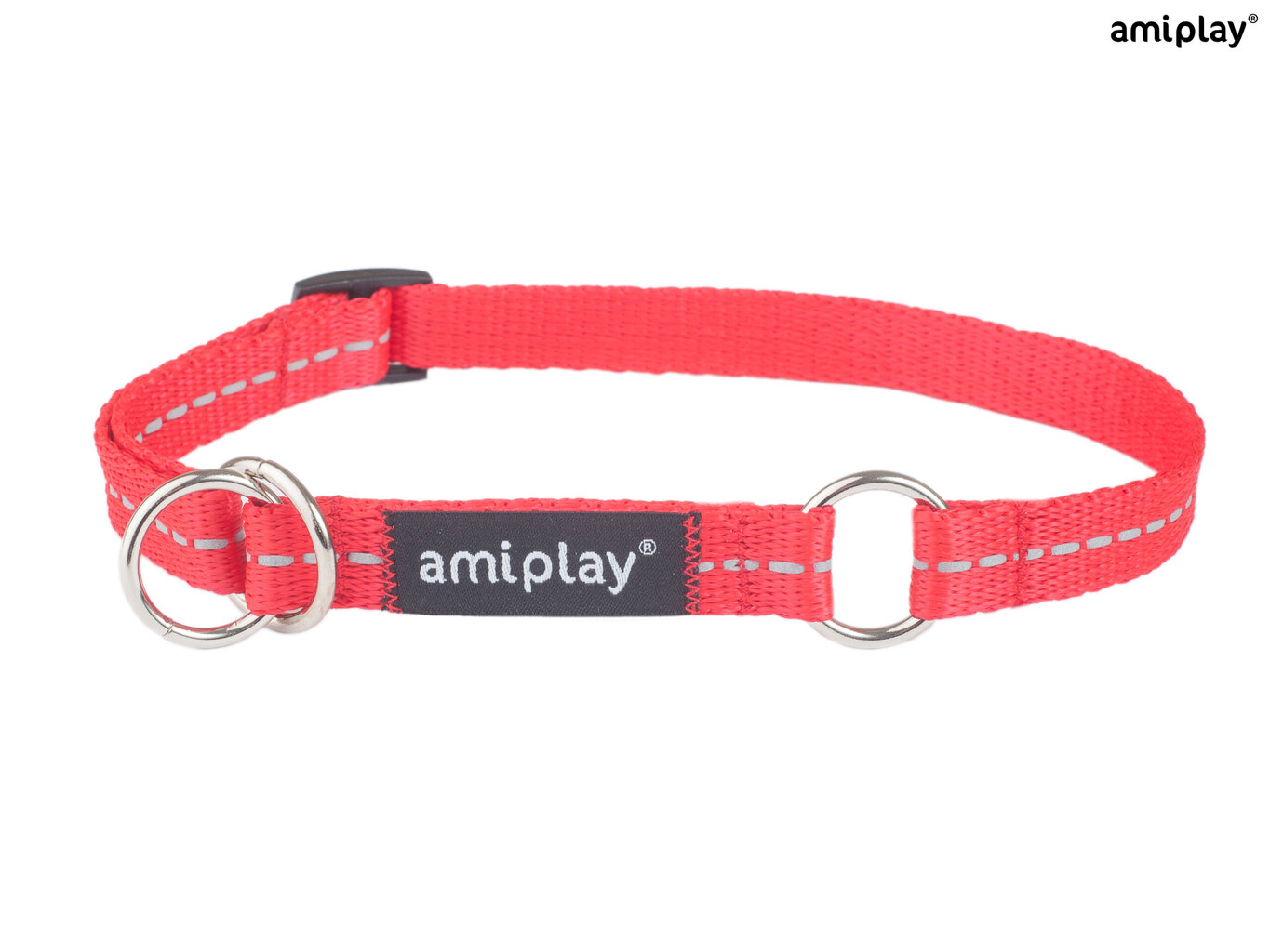 Amiplay kaelarihm Reflective, M, punane hind ja info | Kaelarihmad ja traksid koertele | kaup24.ee