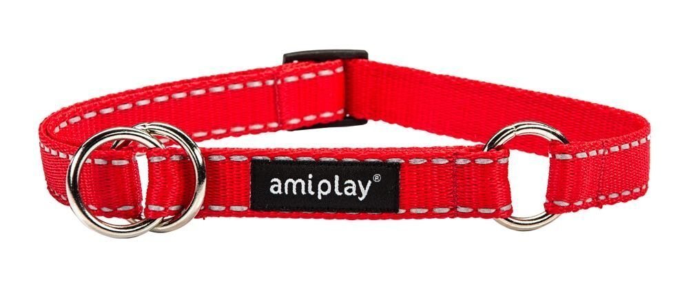 Amiplay kaelarihm Reflective, M, punane hind ja info | Kaelarihmad ja traksid koertele | kaup24.ee