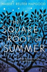 Square Root of Summer цена и информация | Книги для подростков и молодежи | kaup24.ee
