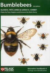 Bumblebees 3rd Revised edition цена и информация | Книги по экономике | kaup24.ee