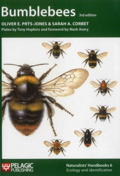 Bumblebees 3rd Revised edition hind ja info | Majandusalased raamatud | kaup24.ee