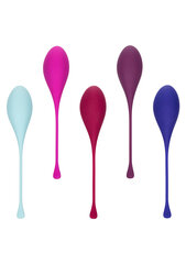 Набор вагинальных шариков Multi Color цена и информация | Вагинальные шарики | kaup24.ee